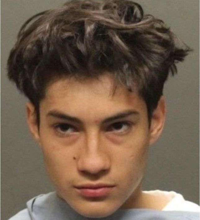 Mug shots 2019